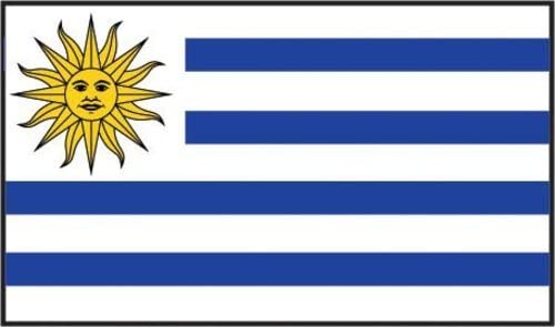 Online Stores 3ft x 5ft Uruguay Flag - Polyester 3 x 5 - Poly Guarani Flag