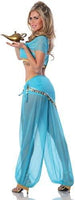 Delicious of NY Women's Arabian Nights Sexy Costume, Blue, Extra-Small