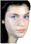 CINEMA SECRETS Woochie 3 Piece Scar Set