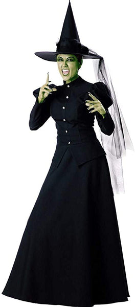 Witch Costume - Medium - Dress Size 6-10