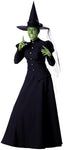 Witch Costume - Small - Dress Size 2-6