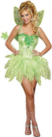 Dreamgirl Women's Fairy-Licious Costume