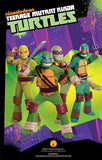 Teenage Mutant Ninja Turtles Shredder Costume, Medium